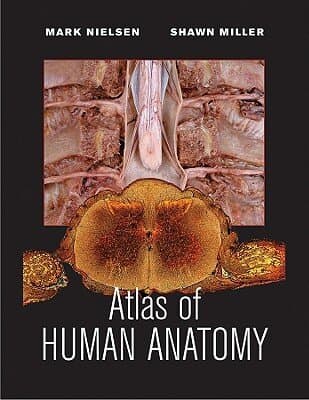 Atlas Of Human Anatomy