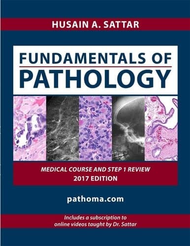 Fundamentals of Pathology by Hussain A,sattar (pathoma 2017 paperback &videos)