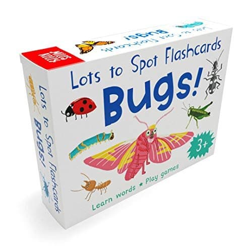 Lots To Spot Flashcards Bugs