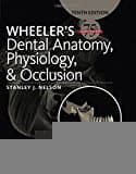 Wheeler's Dental Anatomy, Physiology and Occlusion
