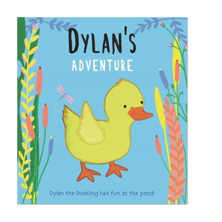 DYLAN S ADVENTURE