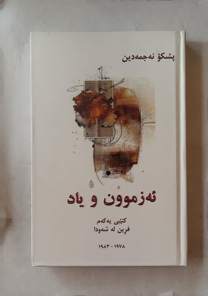 Experience and Memory 3