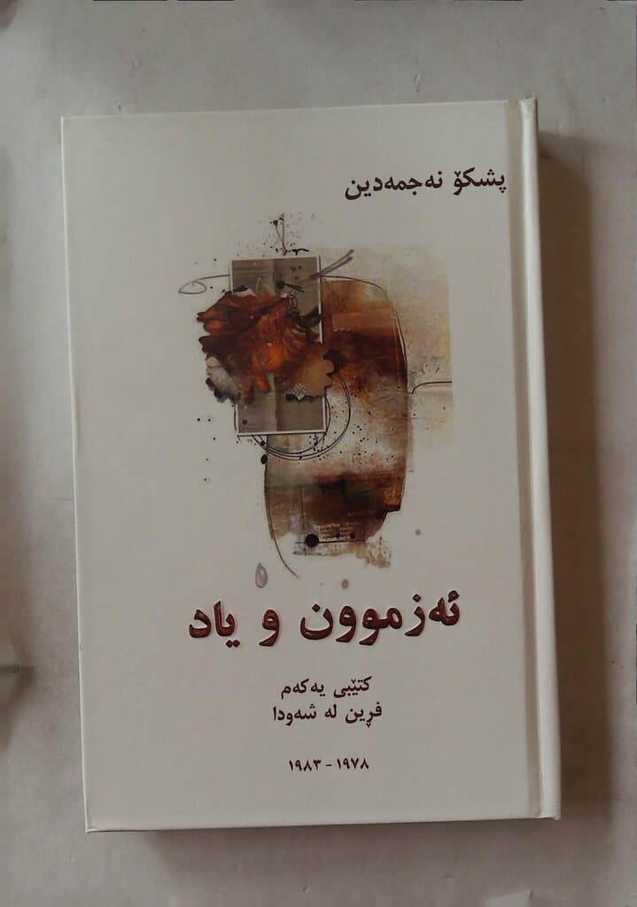 Experience and Memory