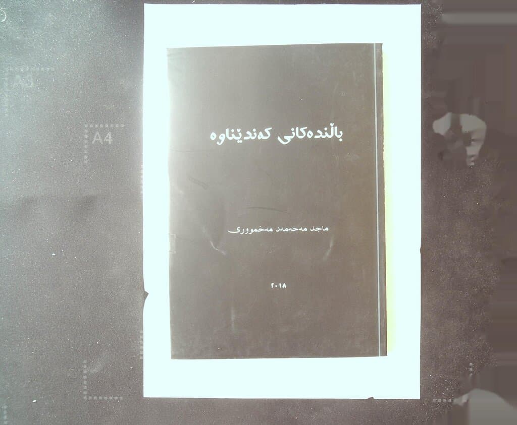 The Birds of the Canyon