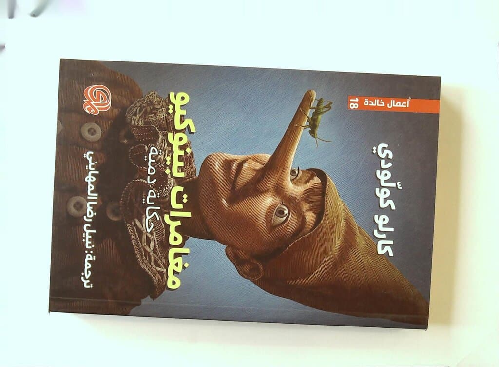 Pinocchio's Adventures