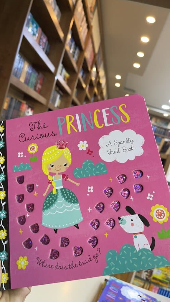 THE CURIOUS PRINCESS