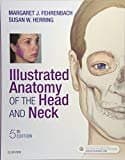 Illustrated Anatomy Of The Head And Neck