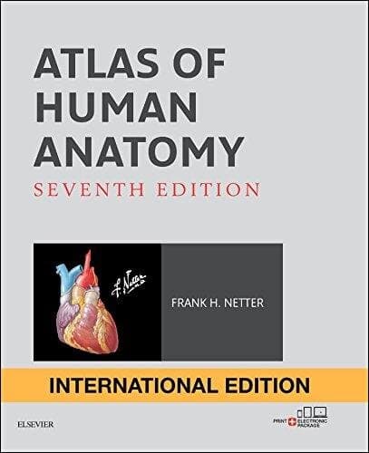 Atlas Of Human Anatomy International Edition (netter Basic Science)