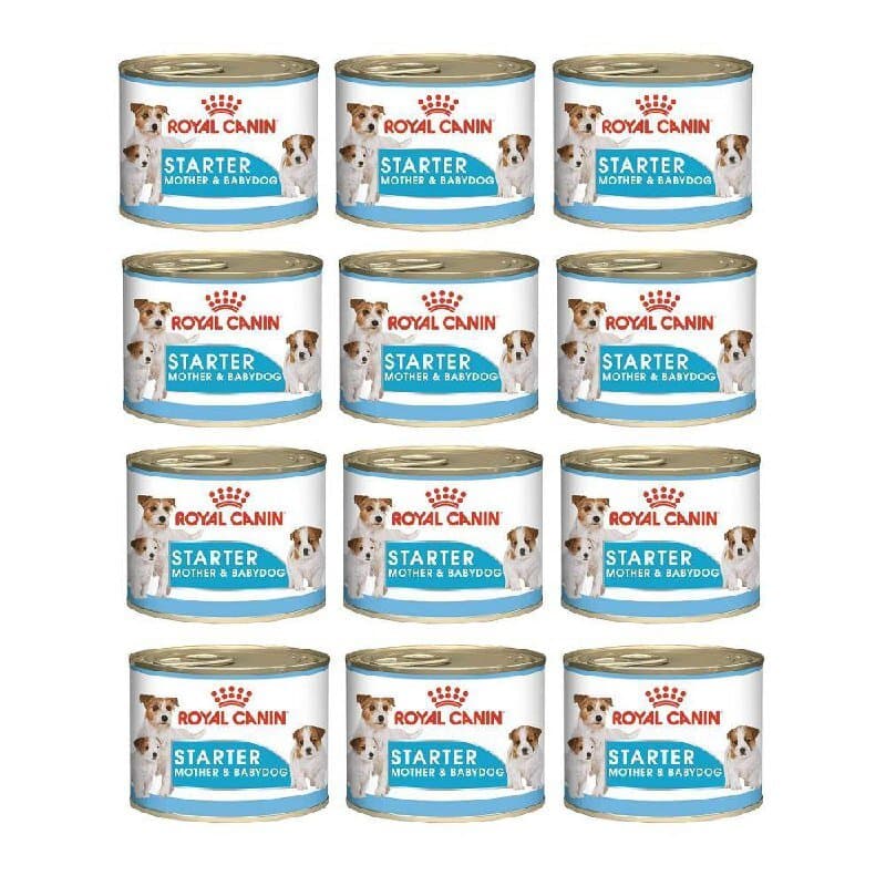 Royal Canin Mother & Baby Starter - 12x