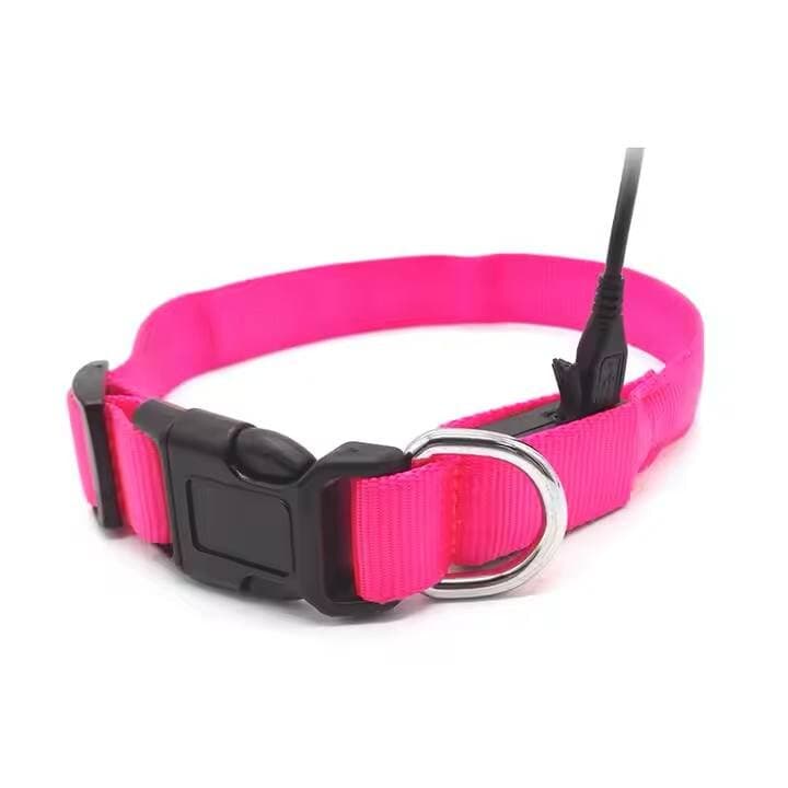 Pceotllar Led Collar - S