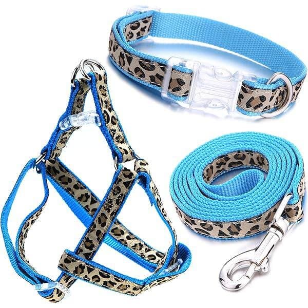 Harness & Collar , Leash Set - XS