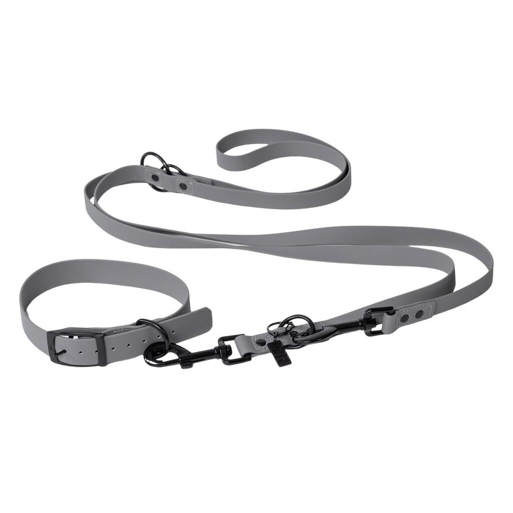 Leash & Collar - S