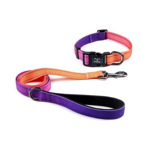 Leash & Collar - S
