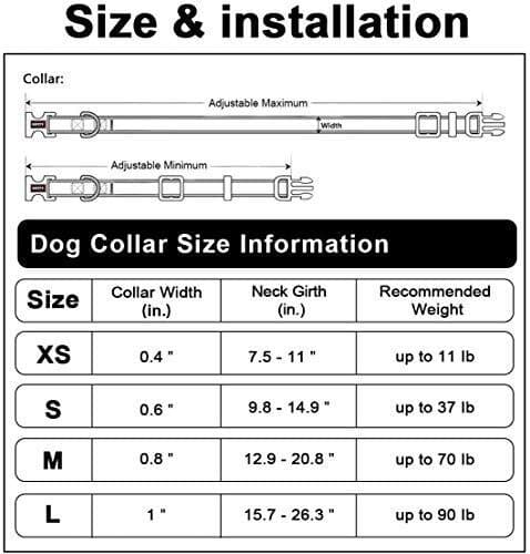 Leash & Collar - S 4