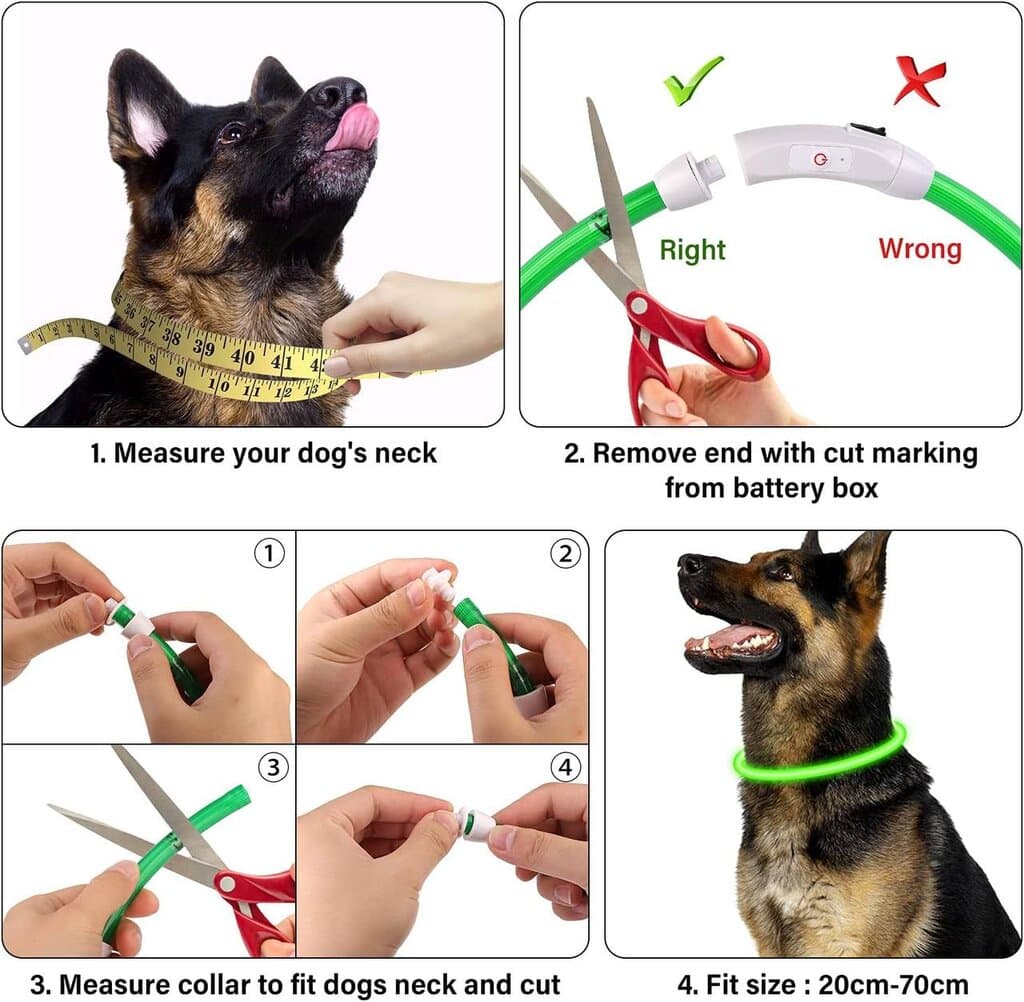 ZooRoyal Led Collar 3
