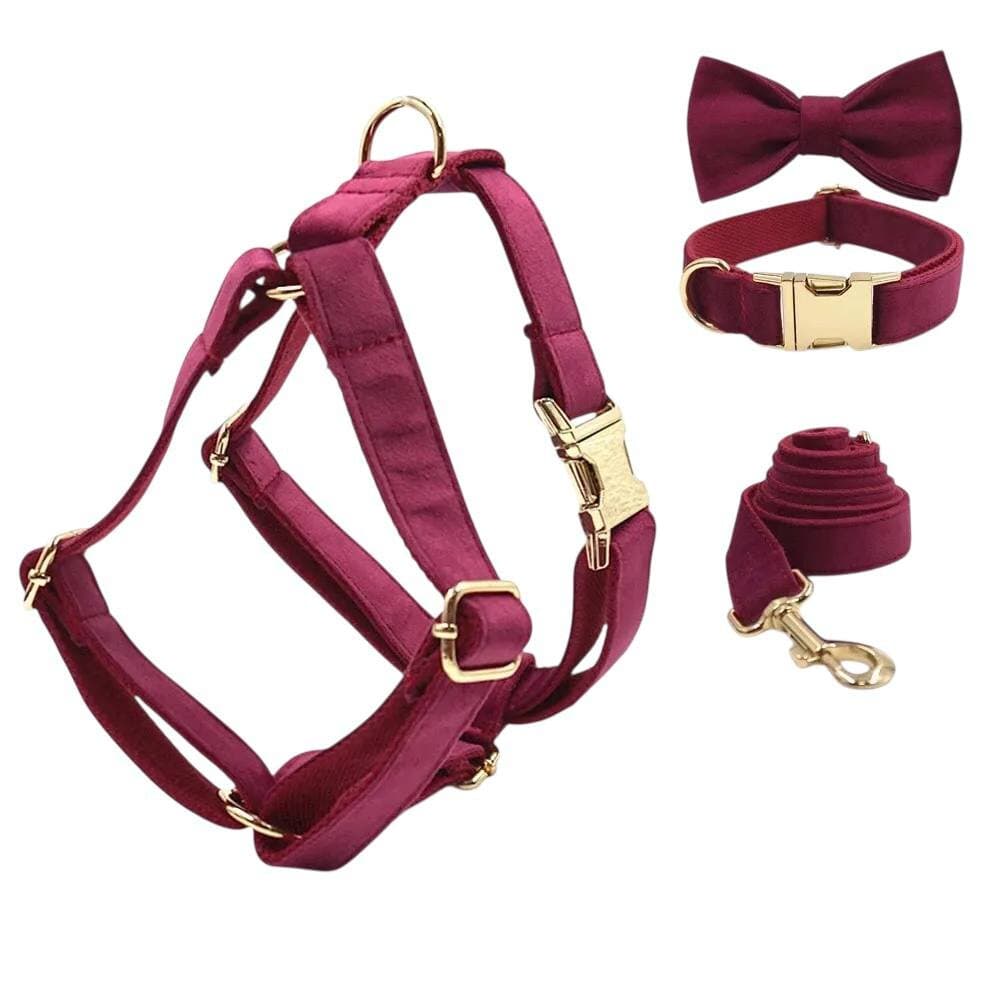 Leash & Harness - S