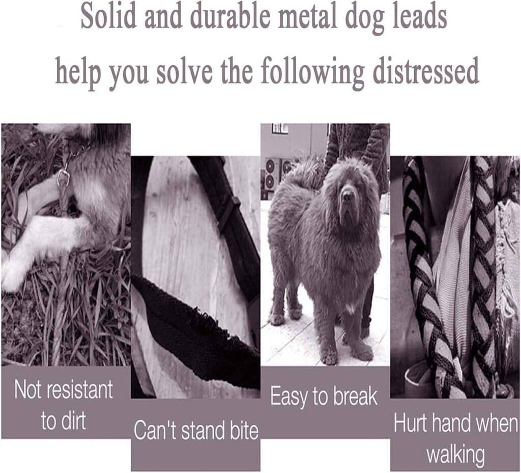 Dog Chain Leash & Collar - M 2