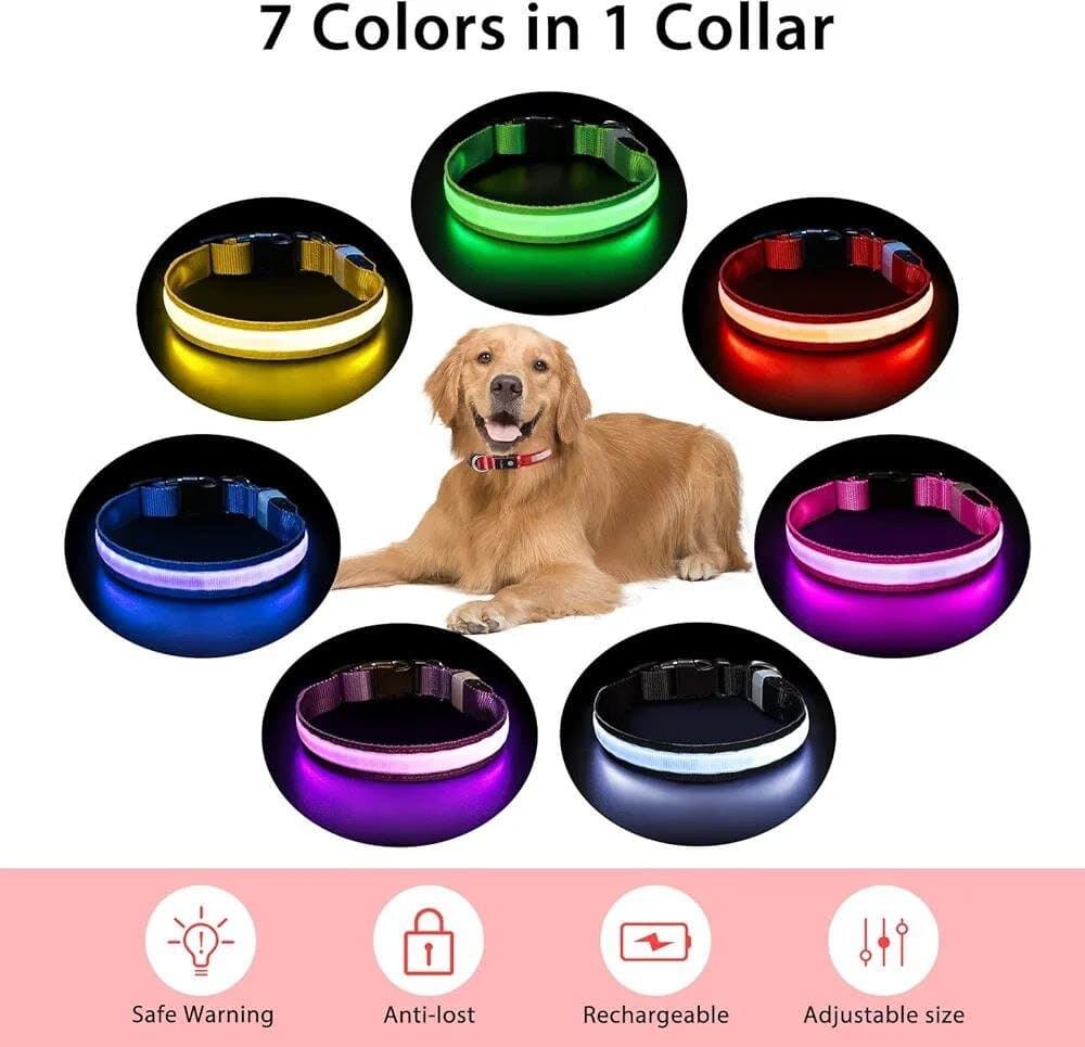Pceotllar Led Colllar - L 3