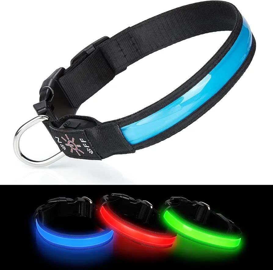Dog Led Collar - S