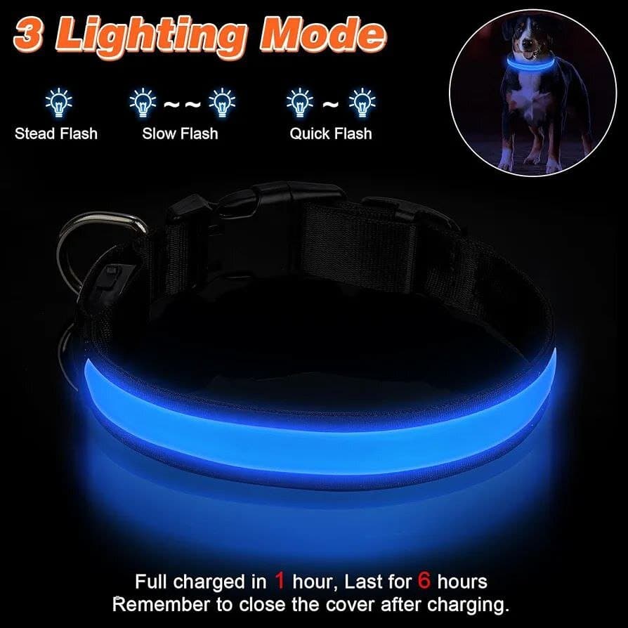 Dog Led Collar - S 2