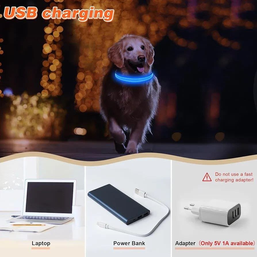 Dog Led Collar - S 3