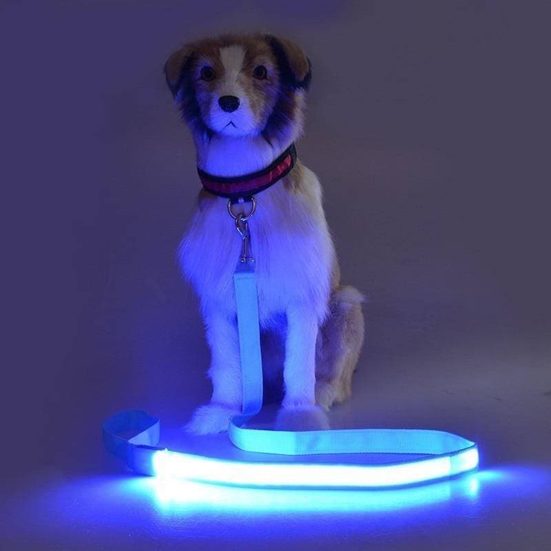 NIGHT SAFETY LED - 120cm 2