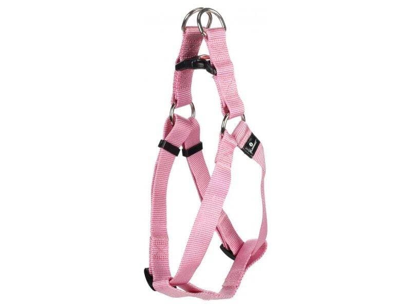Dog Harness and Leash - S