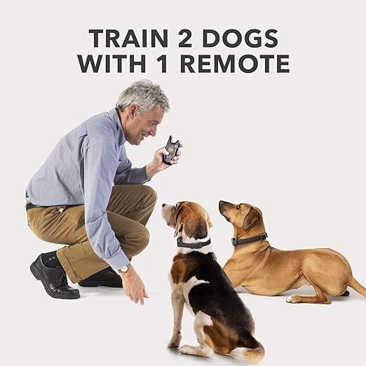 DOG CARE Dog Training Collar with Remote 3