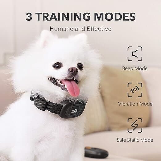 DOG CARE Dog Training Collar with Remote 4