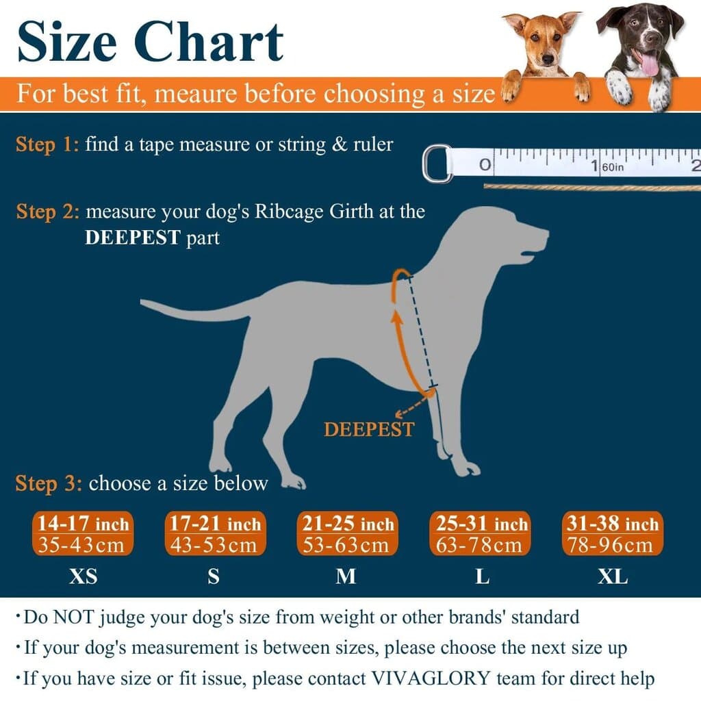 Vivaglory Dog Life Jackets Safety Vest L 2