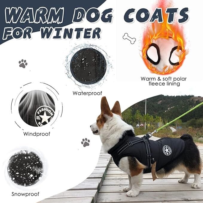 AIMYDOG Warm Dog Winter Coat - S 4
