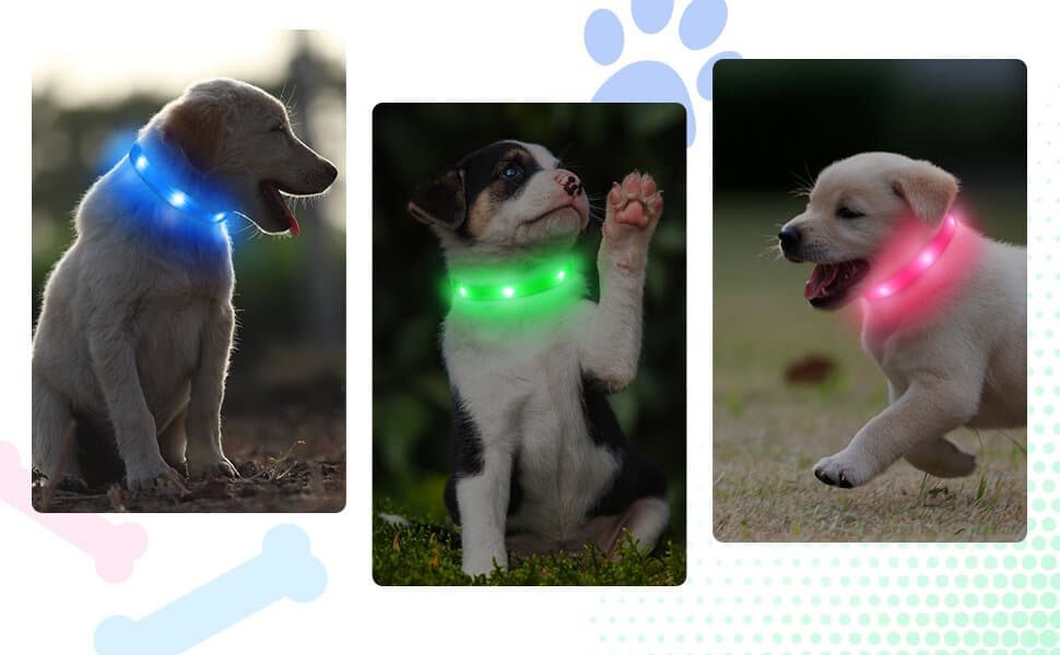 PcEoTllar Dog Collar 5