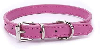 Dog Collar - M
