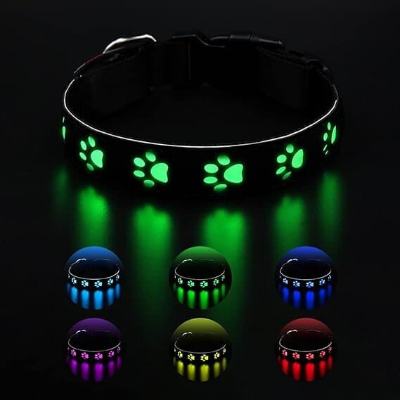 oGoDeal Light Collar