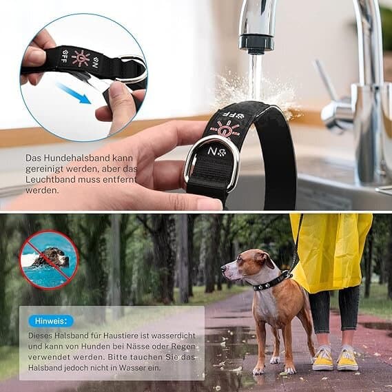 oGoDeal Light Collar 4