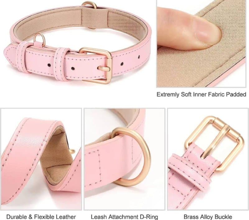 Dog Collar - L 2
