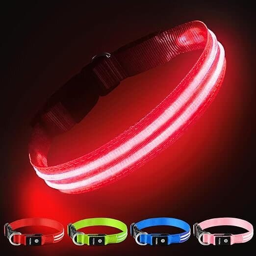 PcEoTllar LED Collar - S