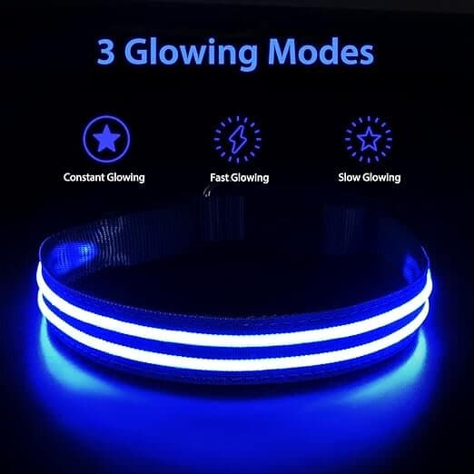 PcEoTllar LED Collar - M 2