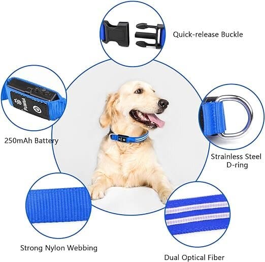 PcEoTllar LED Collar - M 3