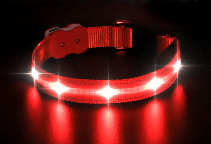 MASBRILL Flashing Safety Collar - M