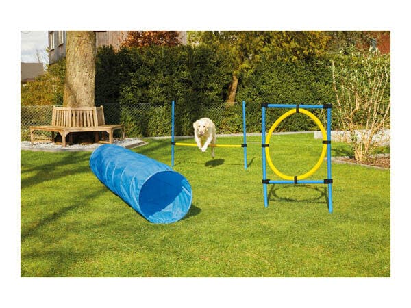 Dog Toy 3
