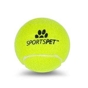 Tennis Ball Thrower 4