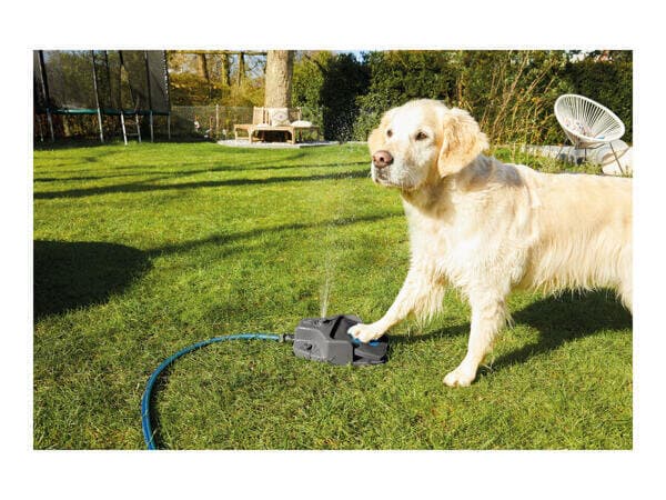 Dog Sprinkler Toy 5