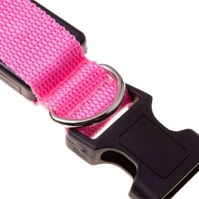 Dog Collar - X 2