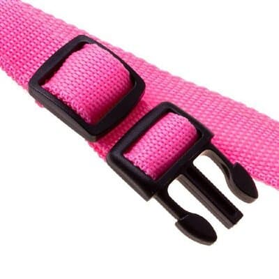 Dog Collar - X 3
