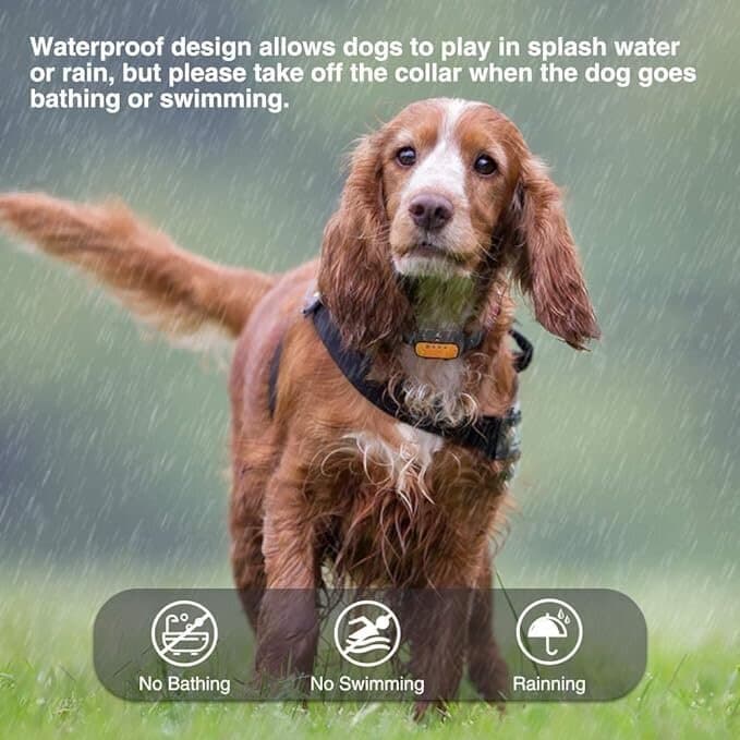 Anti Barking Collar 5