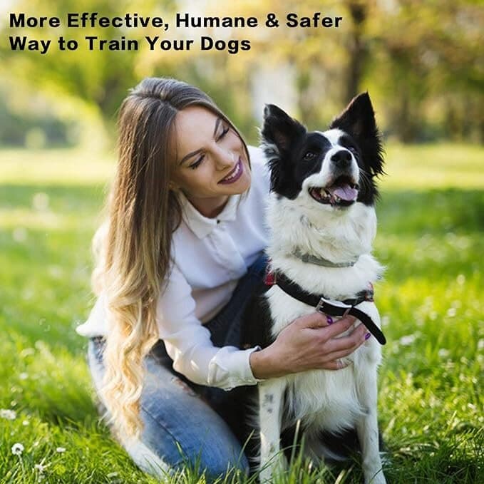 Anti Barking Spray 2