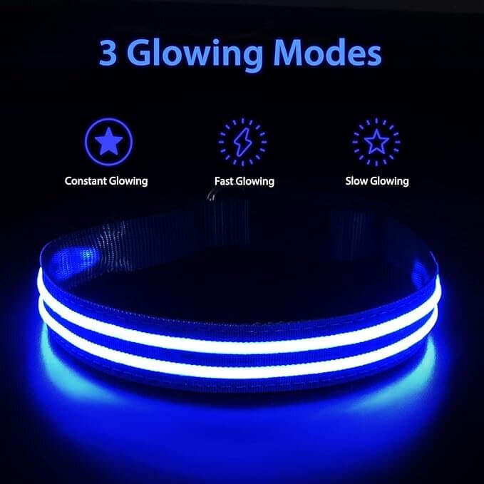 PUMAILA LED Collar - M 2