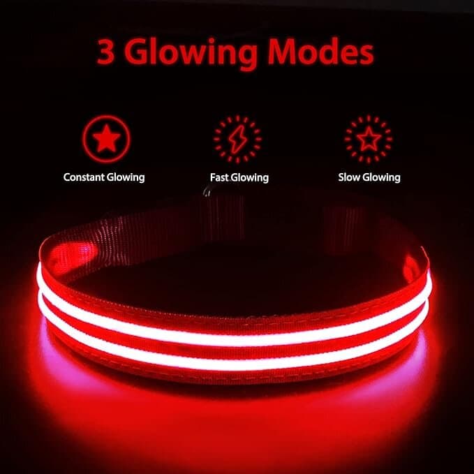 PUMAILA LED Collar - S 4