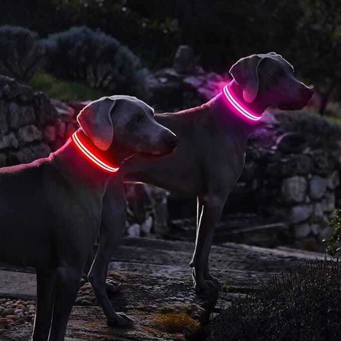 PUMAILA LED Collar - S 5